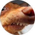 Avatar de Gaelle.a