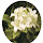 lpvpc's profile photo