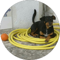 Avatar de lifo950.