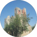 Photo de profil de Robertyves  H.