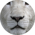 Avatar de Fabrice.A