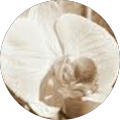 Avatar de Catherine50330.