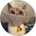 yaz's profile image