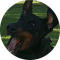 InHim IaMFree Avatar