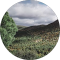 Restaurante Malafama Pozoblanco - Pozoblanco, Córdoba