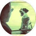 Avatar de olivier.h