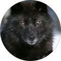 Avis de Blackwolf.8 avec une note de 1 sur 5