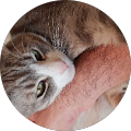 Avatar de gilles.u
