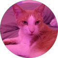 Community member