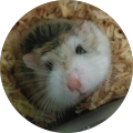 Avatar de Sylvain.O