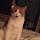 Loppie1's profile photo
