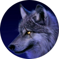 Avis de ArcticWolf. avec une note de 5 sur 5