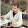 Serdar YILMAZ's profile photo