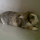 dony gunawan's profile photo