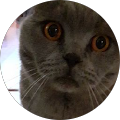 Avatar de Parent.0
