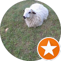 Avatar de Économie.e