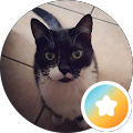 Trixie Cat