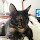 tmarq...@gmail.com's profile photo