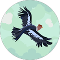 Avatar du profil de Daynis
