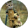Stephan Mengert profile picture