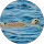 Community member