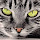 zevenb...@gmail.com's profile photo