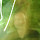 Damien Fay's profile photo