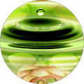 Alicja Gruszczynski Avatar