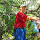 baldea...@gmail.com's profile photo