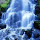 makrai.szilard's profile photo