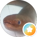 UT