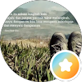 juhardiyasmine _jh