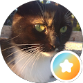 Charlie Catlin