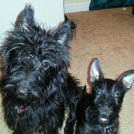 Cherese Boyd (LaLuna412)