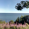 Photo de Frédéric Michaud