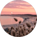 Avatar de Morgane.l