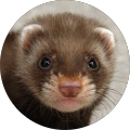 Avatar de Sylvain.a
