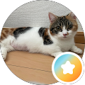ちゃちゃ