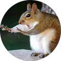 Cradle Identity LLC - Olathe, Kansas