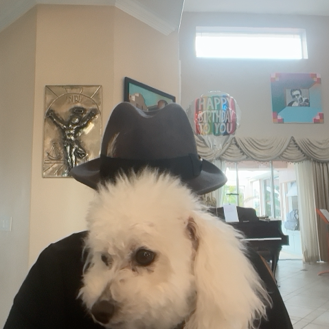 You make me feel so young LIVE Robert Davi