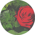 Avatar du profil de clara djbl