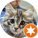 Nora Braidford's profile image