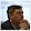 Maurizio Napolitano's profile photo