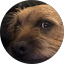 Ed