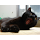 Vectrex's profile photo