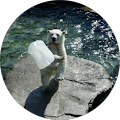 Avatar de Jens.c
