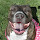 Adania Berry's profile photo