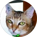 Avatar de Sylvie.s