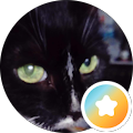 Möppi Miez avatar