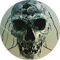 Avatar de sans.o